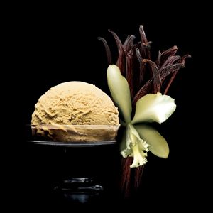 Crème glacée Vanille de Papouasie Bac 500 ml*