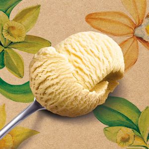 Crème glacée Vanille de Papouasie