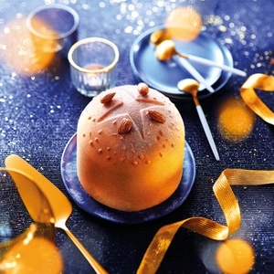 Panettone glacé 1200 ml Panettone glacé 1200 ml