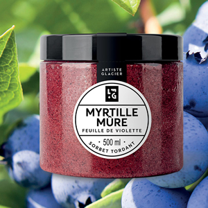 Sorbet Plein Fruit Myrtille Mûre & Violette 295 g