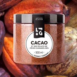 Sorbet Cacao et éclats de fèves caramélisés 500 ml