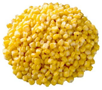 Grains de maïs 1 kg