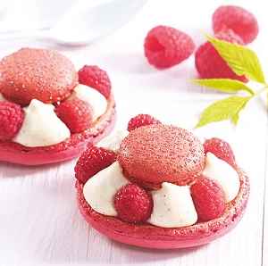 2 Macarons précieux framboise/vanille 2 Macarons précieux framboise/vanille