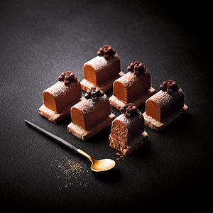 *6 Surprises au chocolat 73g *6 Surprises au chocolat 73g